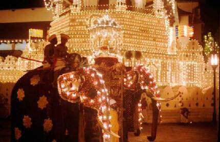Tusker Rajah carries the tooth relic at the annual Kandy Peraheriya. The elephant was born in 1900 and died in 1985, having carried the casket annually for 50 years. 